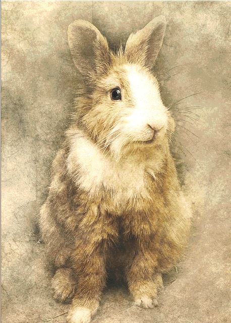 Rabbit cross stitch pattern pdf